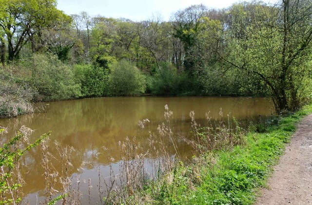 Pool (2), Piper's Hill & Dodderhill Commons Nature Reserve, near Hanbury, Worcs