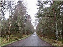 NH6873 : Ardross to Tain road by Richard Webb