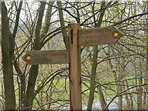 NT5034 : Footpath signpost, Netherbarns by Jim Barton