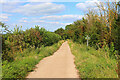 Bridleway near Westbury