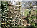 Wrought gate in Brockley