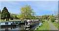 A Sunbeam on Peak Forest Canal