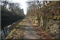 Union Canal towards bridge #61