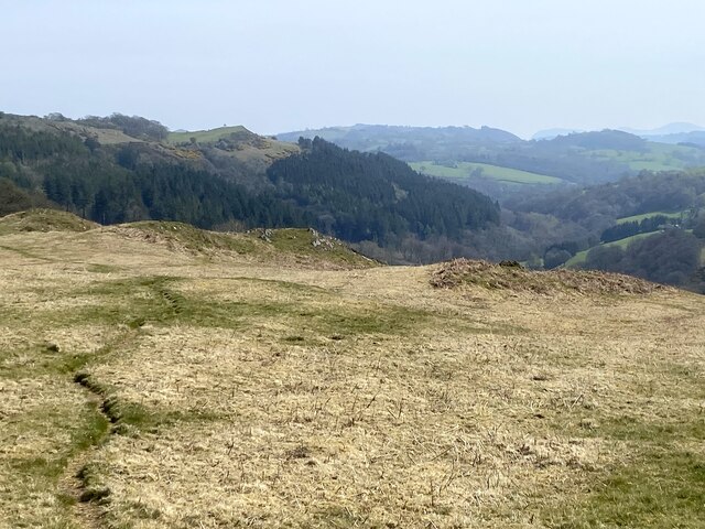 Eastward view from the eastern side of Allt Dolanog