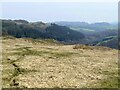 Eastward view from the eastern side of Allt Dolanog