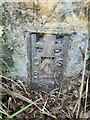 Ordnance Survey Flush Bracket (865)