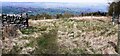 Junction of footpaths in forestry at Forelands Rigg