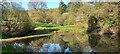 Pond in the gardens at Whirlow Brook House