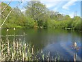 Spring Pond on Little Common