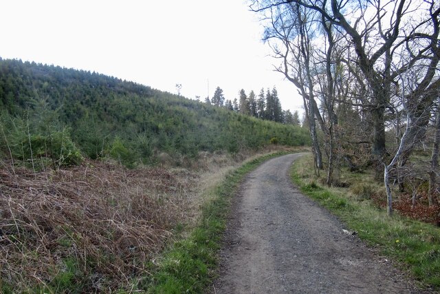 Cauldshiels Loch, Scottish Borders - area information, map, walks and more