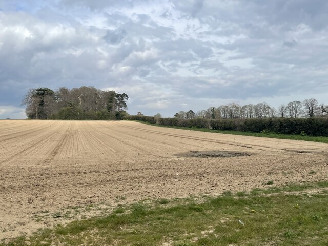 Ploughed field near Park Farm New Covert