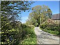 Stream and lane alongside Ger y Nant