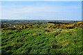 Carrickmore Townland