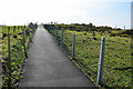 Path along Termon Greenway