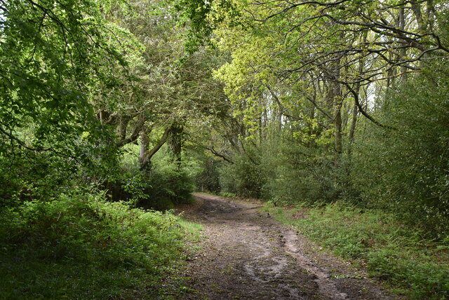 Sussex Diamond Way © N Chadwick :: Geograph Britain and Ireland