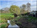 Cove Brook passing Blunden Hall