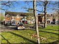 Houses in Dunstall Park