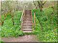 Steps on path to Dryburgh Footbridge