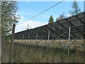 Solar panels near Tweed Horizons