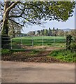 Padlocked gates, Llanover, Monmouthshire