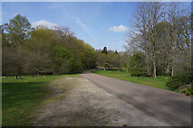 SK6274 : Clumber Park by Malcolm Neal