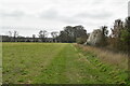 Footpath to Marden