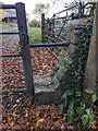 Stone Stile Comms Tower, Hyde GS1320