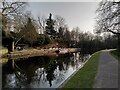 Canalside gardening, Winson Green