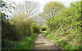 Footpath below Duckmanton