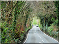 A387 Polperro Road