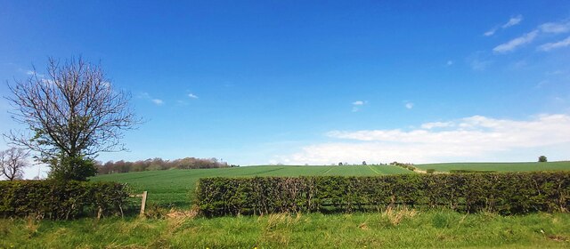 Farmland near Keverstone Grange
