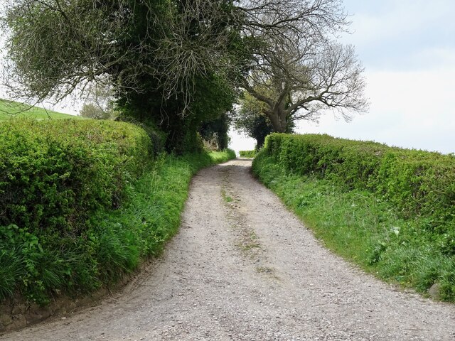 Limekiln Lane