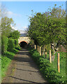 Footpath and former railway bridge