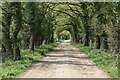 Bridleway south of New Close Farm