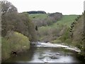 Ettrick Water