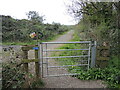 Bridleway by The Spinney