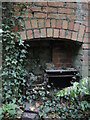 ST5067 : A fireplace with creepers by Neil Owen