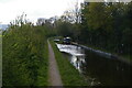 Montgomery Canal, Maesbury Marsh