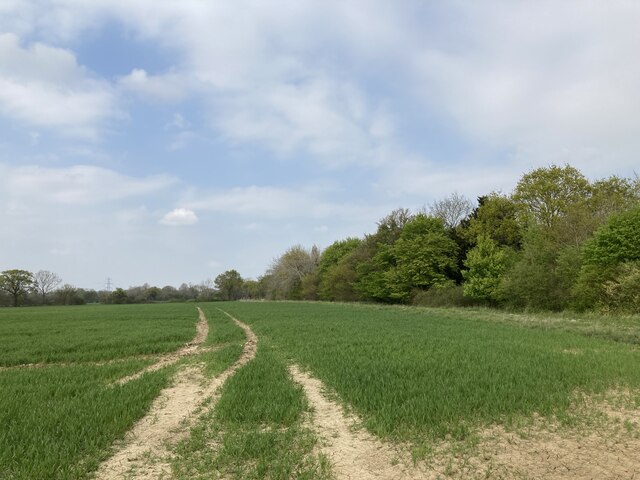Field next to Colsey Wood