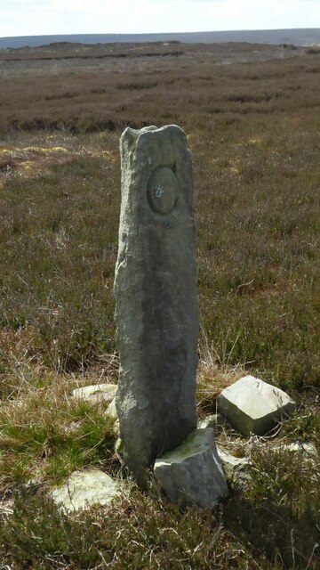 Old Boundary Marker on Carle Moor