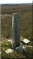 SE1673 : Old Boundary Marker on Carle Moor by Mike Rayner