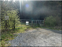 S6476 : Flare and Forest Entrance by kevin higgins