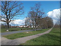 The Avenue of Trees, Loughton Lane, Theydon Bois