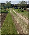 Road through allotments, Stonehouse