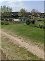 Allotment plots, Stonehouse