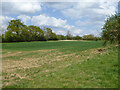 Field north of Merks Hall