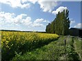 Footpath, Faversham