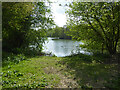 Pond or reservoir north of Merks Hall