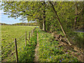 Footpath 1511 towards Charlwood