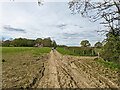 Farm track towards Ifield Court Farm